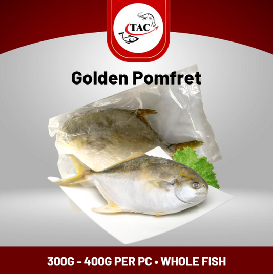 Golden Pomfret 金鲳