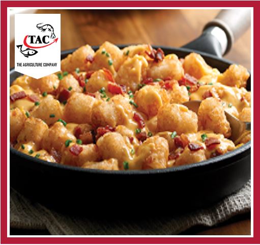 McCain Tater Potato Tots 500grm