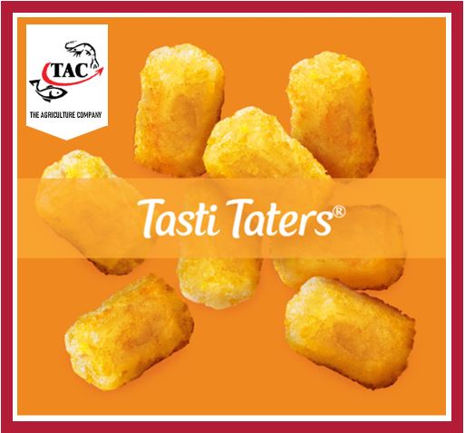 McCain Tater Potato Tots 500grm